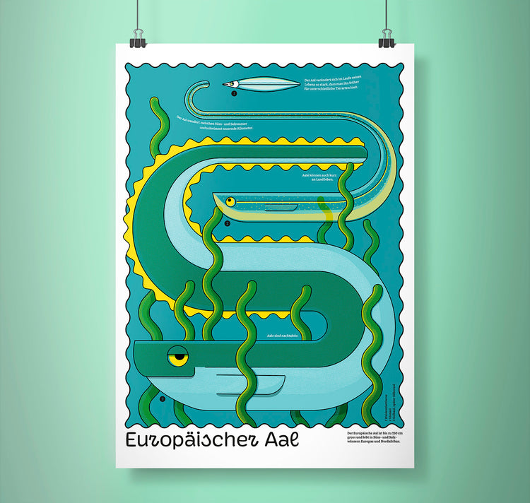 Fabienne Paul - Plakat "Europäischer Aal"