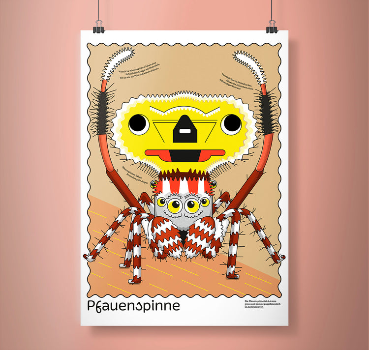 Fabienne Paul - Plakat "Pfauenspinne"