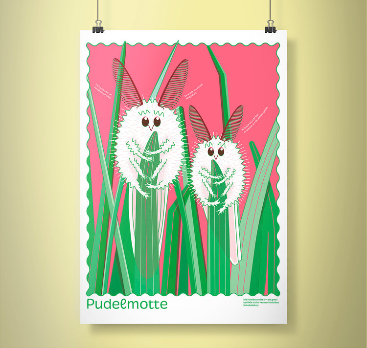 Fabienne Paul - Plakat "Venezolanische Pudelmotte"