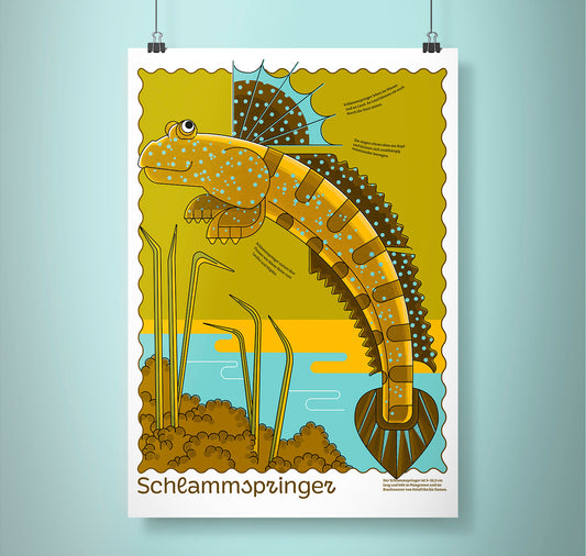 Fabienne Paul - Plakat "Schlammspringer"