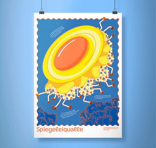 Fabienne Paul - Plakat "Spiegeleiqualle"