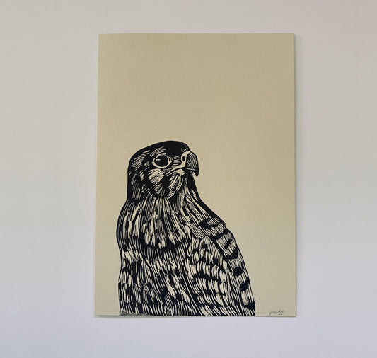 GINNY - Carta "Linocut - Gheppio"