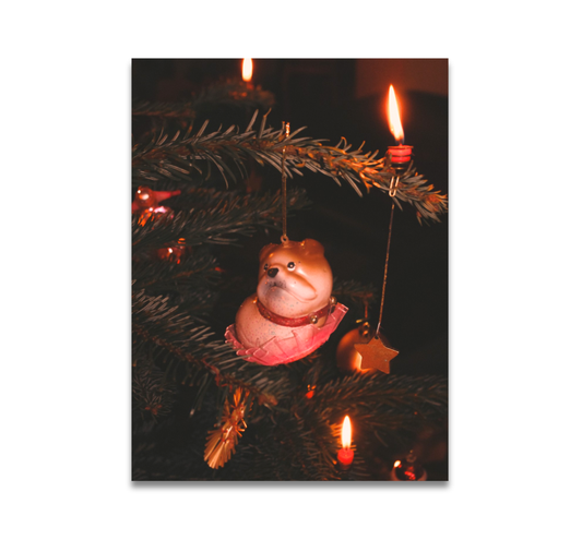 Saliso Print - Postkarte "Feliz Navidog"