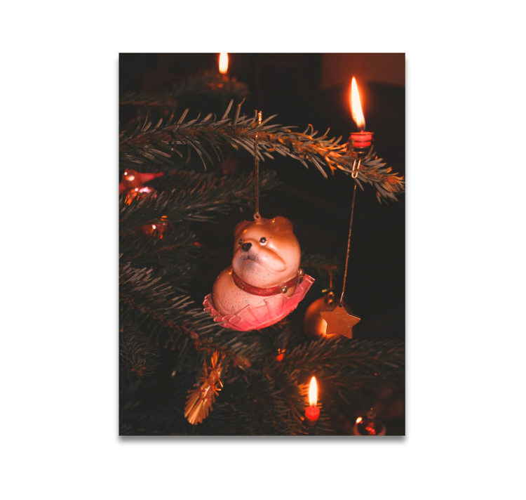 Saliso Print - Postkarte "Feliz Navidog"