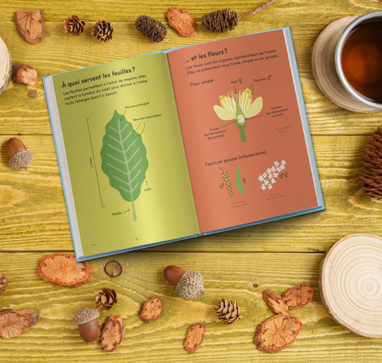 Lisa Voisard - Buch "Arborama"
