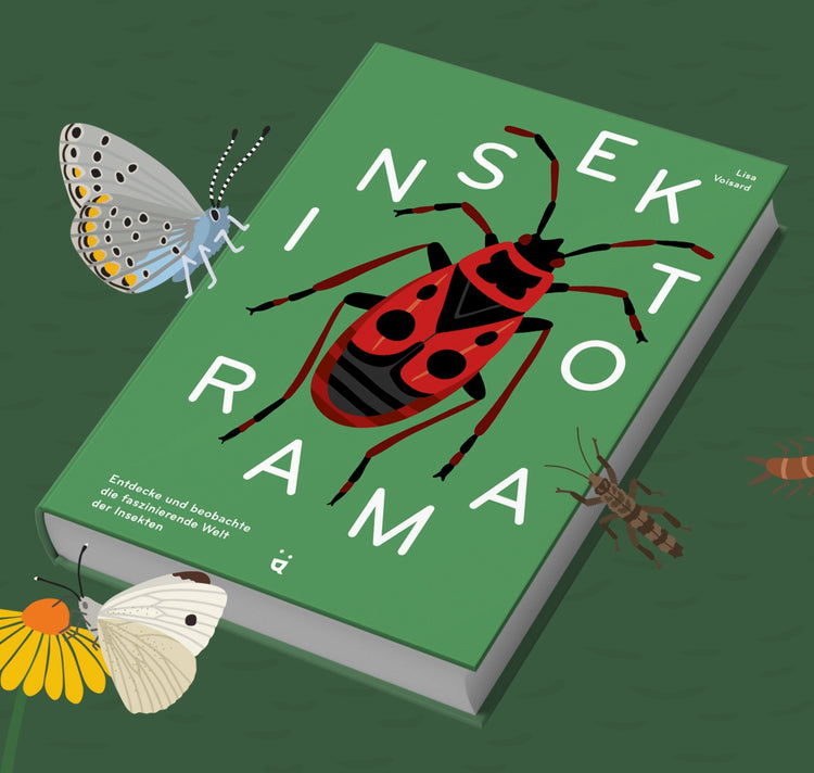Lisa Voisard - Buch "Insektorama"