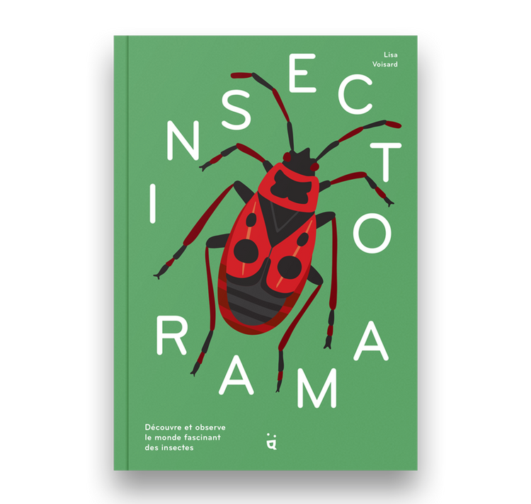 Lisa Voisard - Buch "Insektorama"