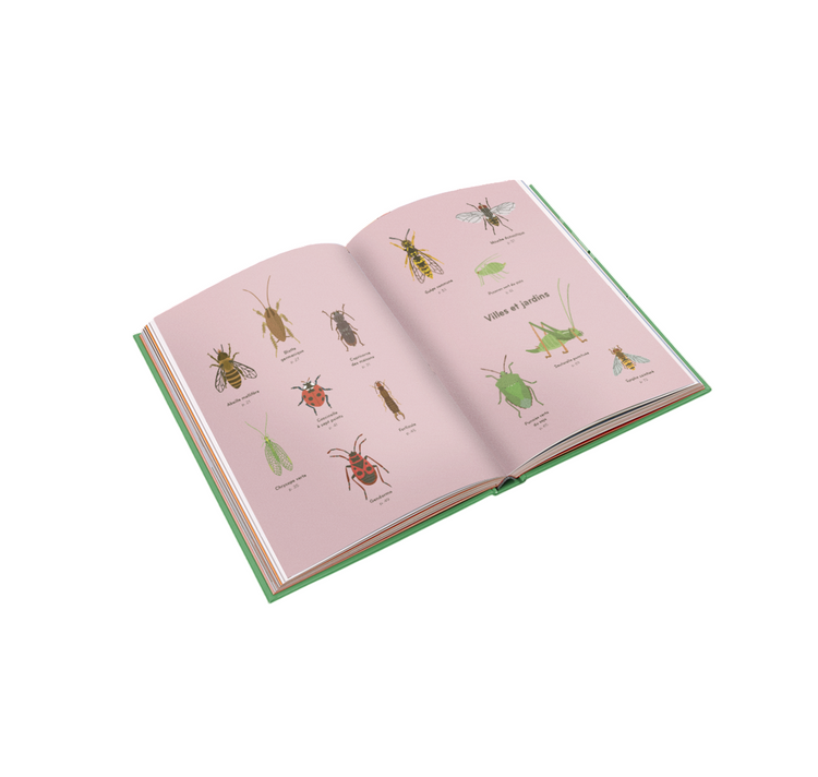 Lisa Voisard - Buch "Insektorama"