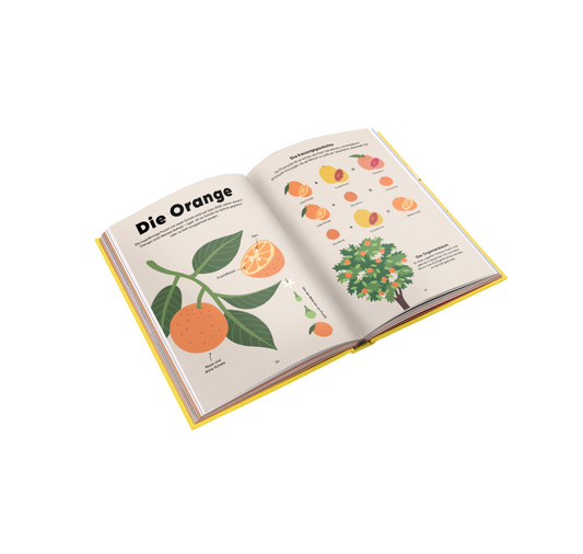 Lisa Voisard - Buch "Natur auf dem Teller"