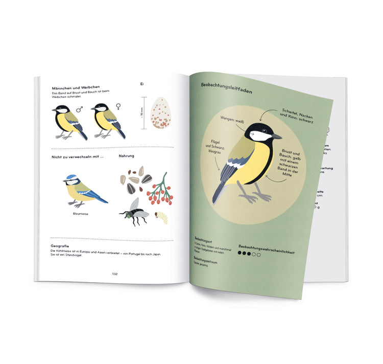 Lisa Voisard - Buch "Ornithorama"