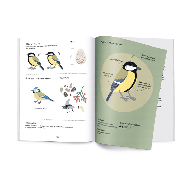 Lisa Voisard - Buch "Ornithorama"