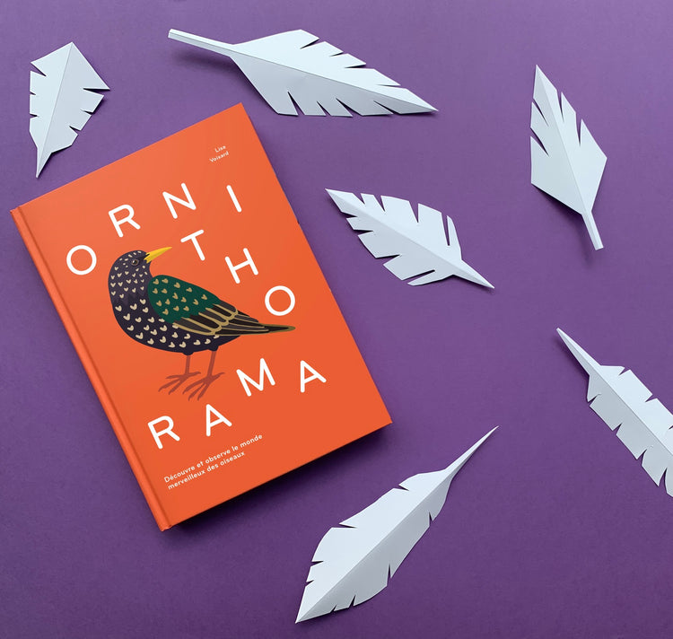 Lisa Voisard - Buch "Ornithorama"