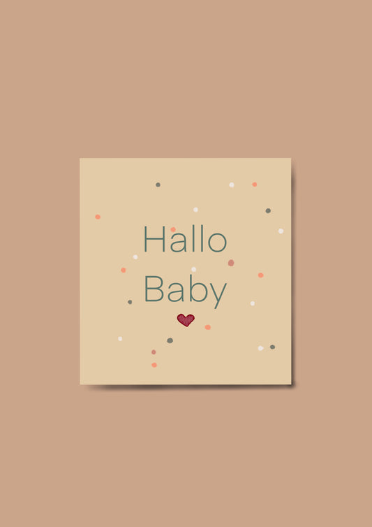 Karin Lena Schmid - Album für das erste Lebensjahr "Hallo Baby"