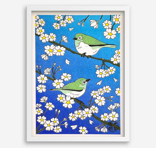 Kristell Silva Tancun - Poster A5 "Zostérops"