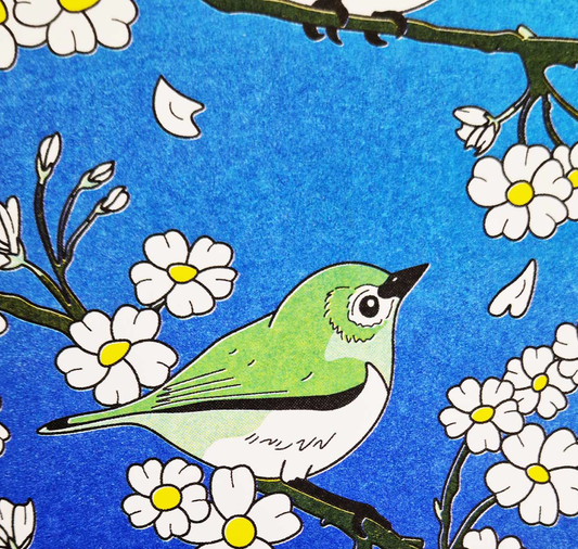 Kristell Silva Tancun - Poster A5 "Zostérops"