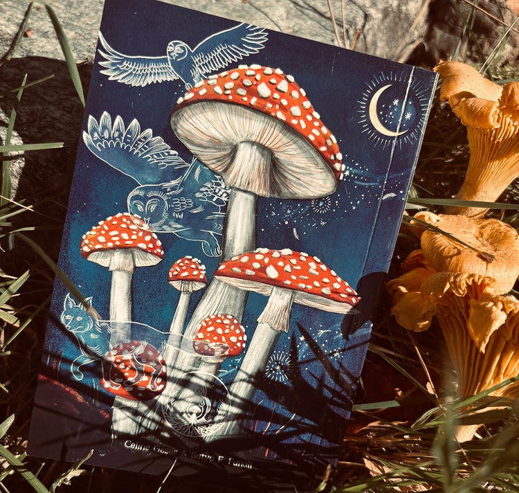 Celine Geser - Spiel "The Mushroom Oracel"