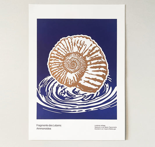GINNY - Poster "Ammonoidea"