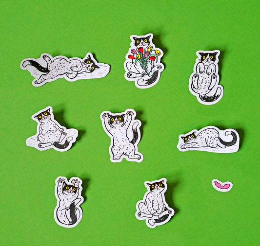 Anna-Lisa Schneeberger - Stickerbogen „Büsis“