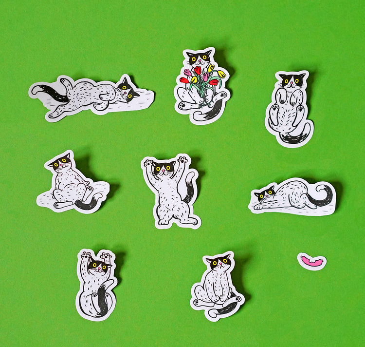 Anna-Lisa Schneeberger - Stickersheet „Büsis“