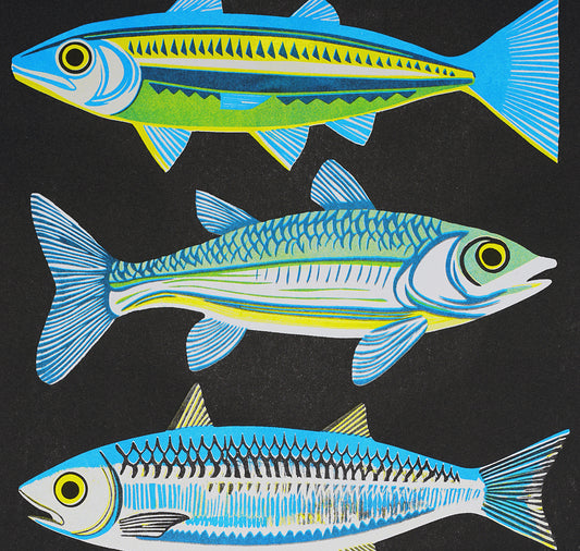 Anna-Lisa Schneeberger - Plakat "Fische"