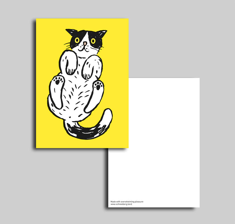 Anna-Lisa Schneeberger - Postkarte "Büsi"