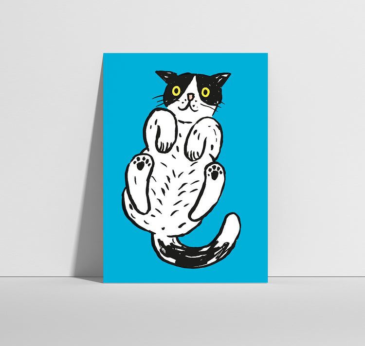 Anna-Lisa Schneeberger - Cartolina "Büsi Blau"