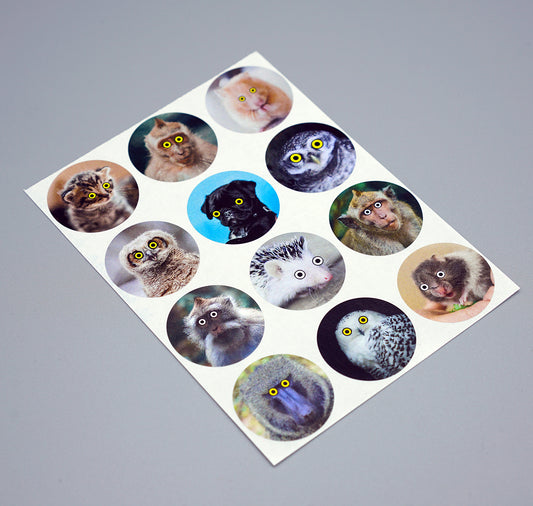 Anna-Lisa Schneeberger - Stickerbogen "Cuties & Beauties"