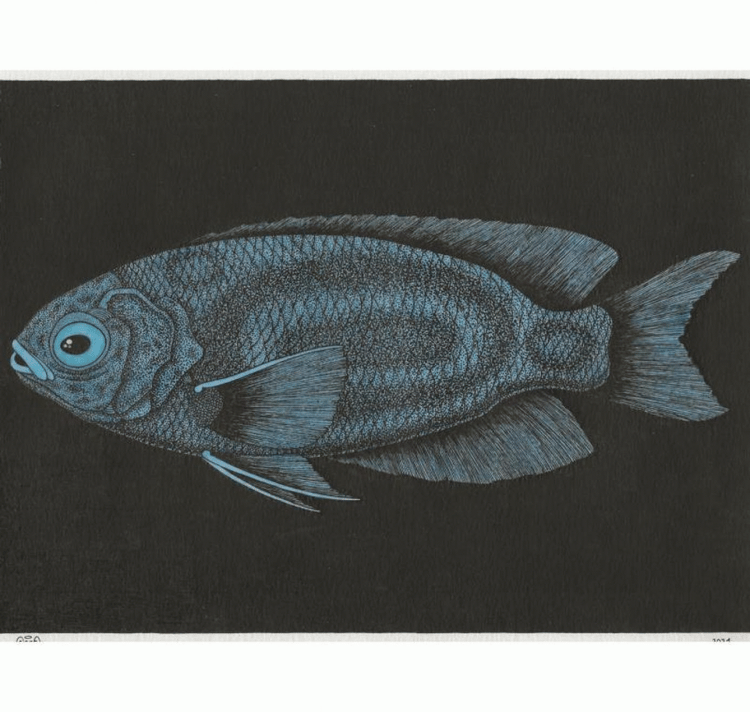 SOPE - Original "Fisch Nr. 11"