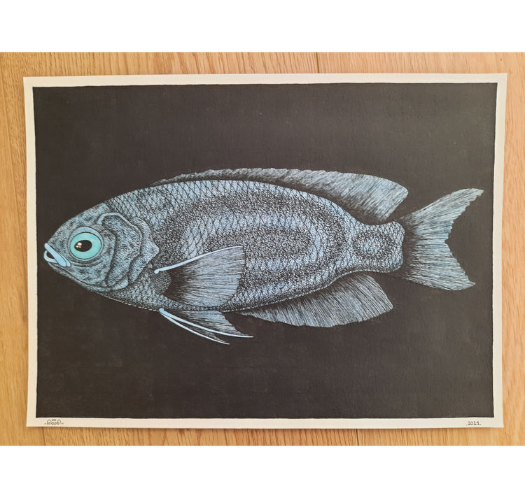 SOPE - Original "Fisch Nr. 11"