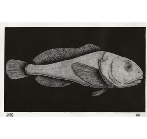 SOPE - Original "Fisch Nr. 12"
