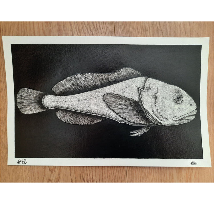 SOPE - Original "Fisch Nr. 12"
