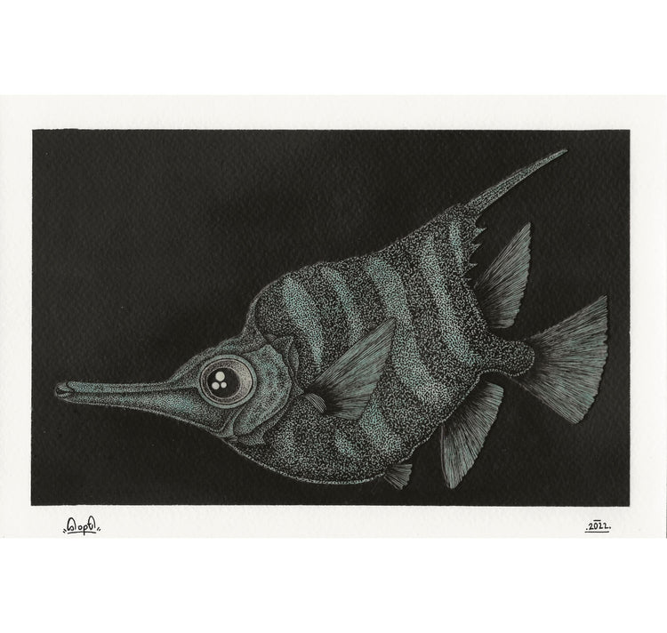 SOPE - Original "Fisch Nr. 13"