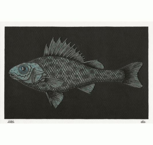 SOPE - Original "Fisch Nr. 15"