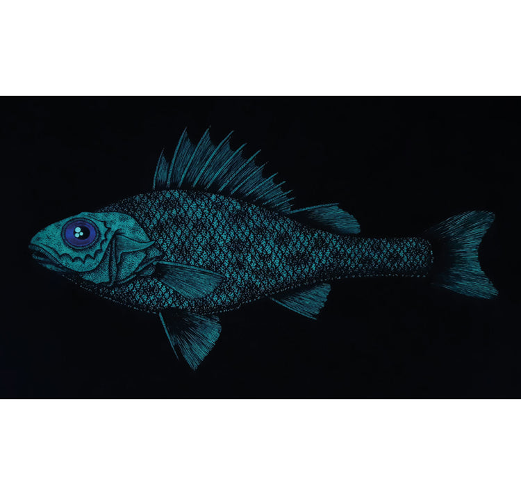 SOPE - Original "Fisch Nr. 15"