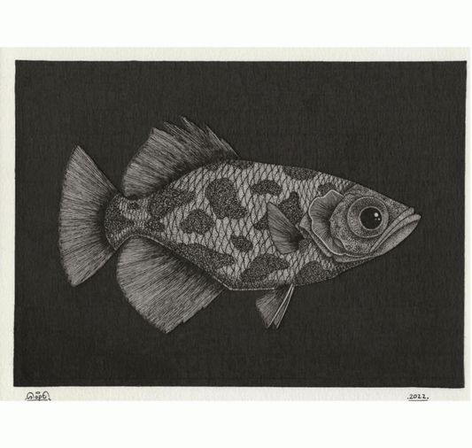 SOPE - Original "Fisch Nr. 22"