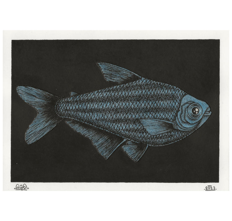 SOPE - Original "Fisch Nr. 4"