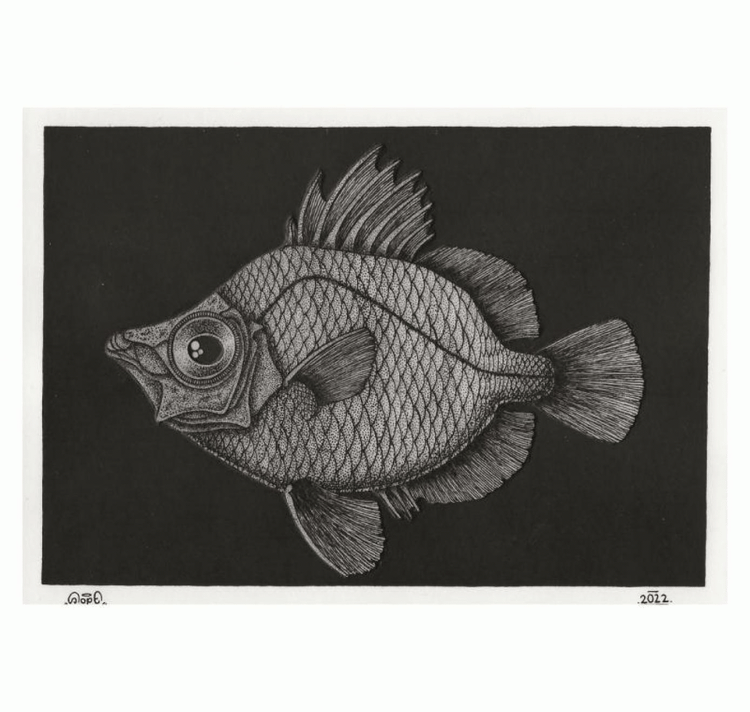 SOPE - Original "Fisch Nr. 6"