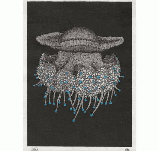 SOPE - Original "Spiegeleiqualle"