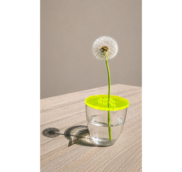 Anne Treichel - Vase "FLOWERDISC" (klein)
