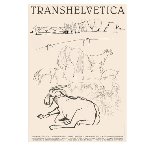 Transhelvetica - Plakat "Hof"