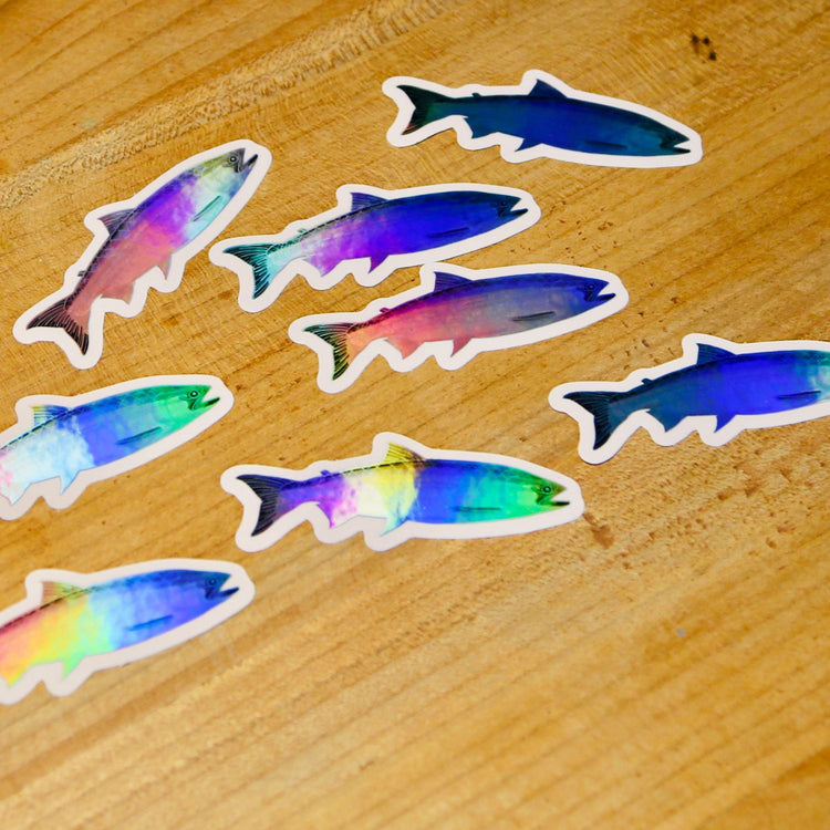 Tania Bisaz - Stickerset "Shiny Trout" (3 Stk.)