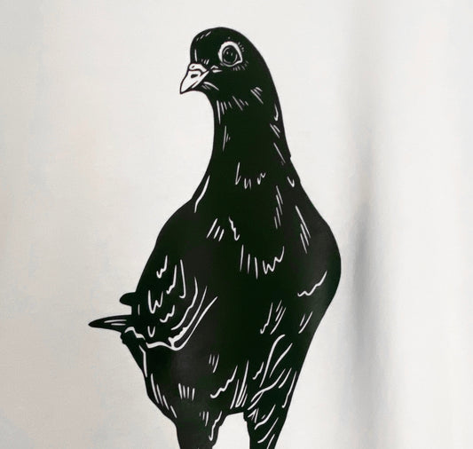 GINNY - Unique T-shirt “The Rock Pigeon” for women (M) 