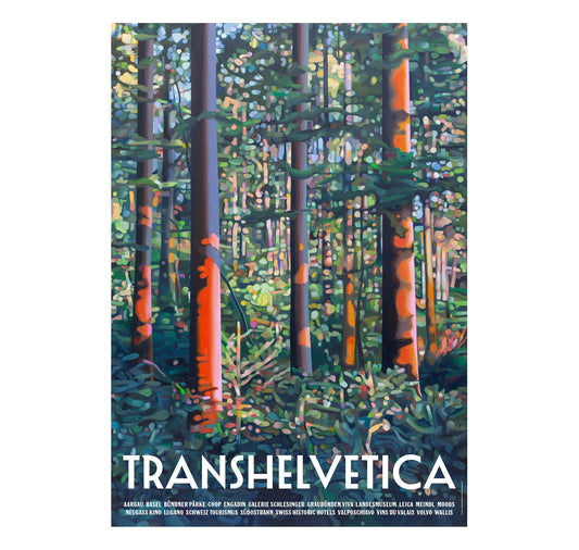 Transhelvetica - Poster "Construction Site"
