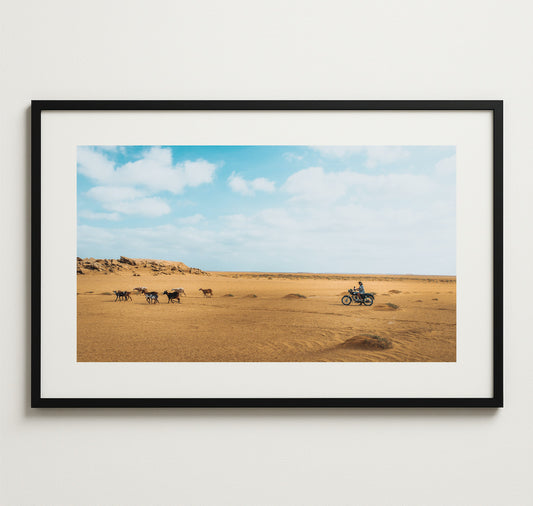 worldofdave x Hotel Goldener Stern – Plakat "Goat Farm"