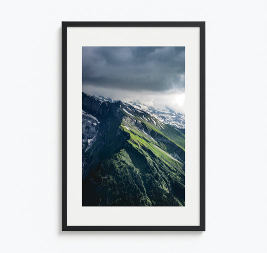 worldofdave x Hotel Goldener Stern – Plakat "Laub"