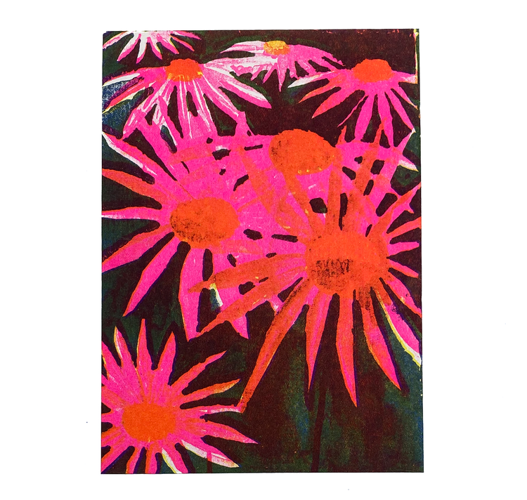 Anna Weber - Postkarte "Echinacea"