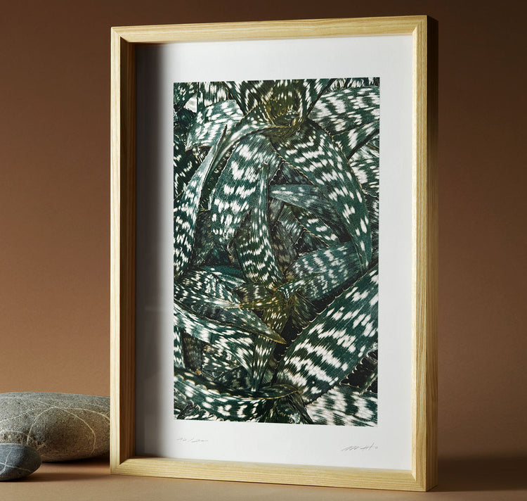 Bienvenue Studios - Plakat "Quiet Water N° 1"