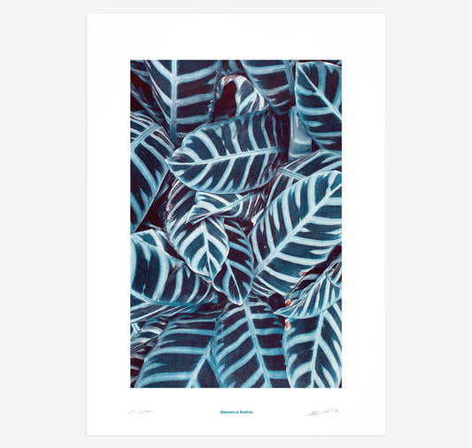 Bienvenue Studios - Plakat "Praying Hands N° 3"