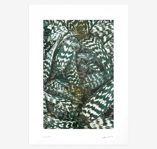Bienvenue Studios - Plakat "Quiet Water N° 1"