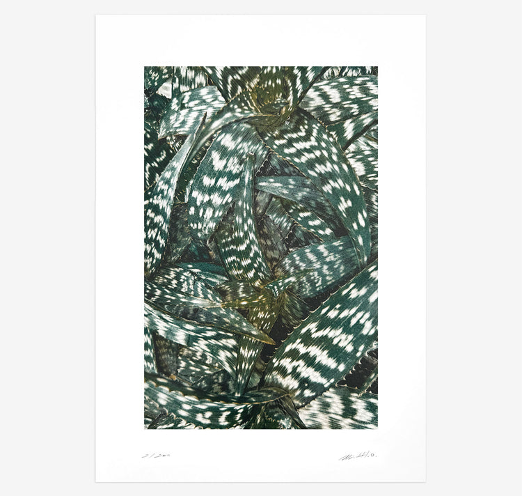 Bienvenue Studios - Plakat "Quiet Water N° 1"